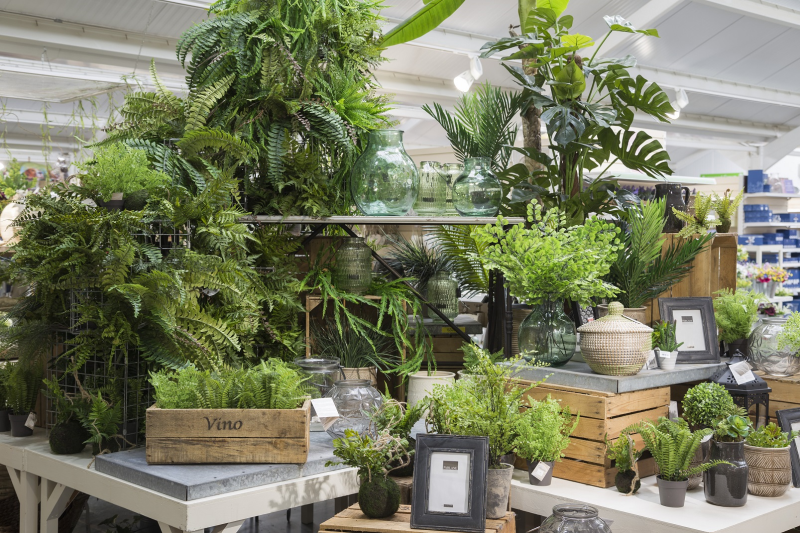 GCA member Perrywood Garden Centre has put a focus on promoting houseplants in store and on social media