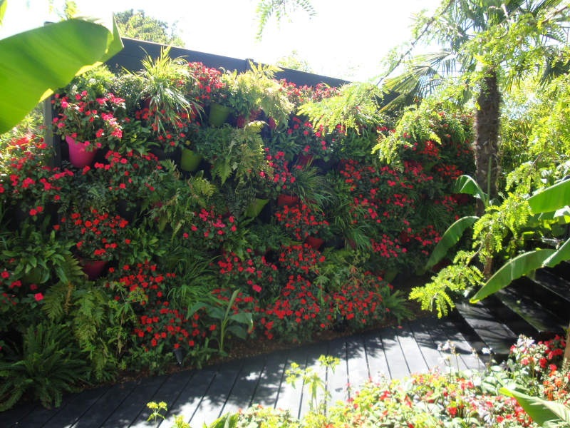 A wall of hanging planters were filled with B&Q