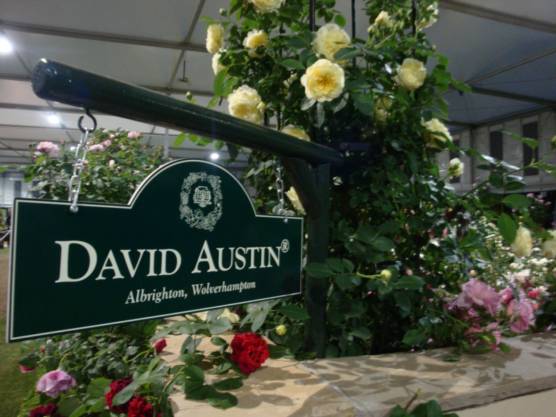 Rose varieties from Chelsea veteran David Austin Roses are also expected to be popular with customers