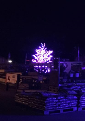 The iconic tree had been made a feature at the Devon garden centre to inspire customers