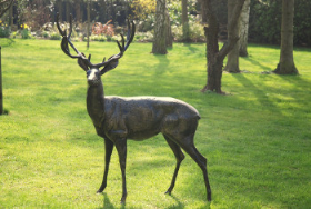 The stag was part of a iconic display at  Dobbies and staff were “saddened” by its theft