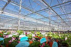 The funds will help the business meet growing demand for specialist plants