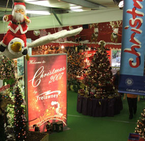 Early Christmas opening paying off for garden centres