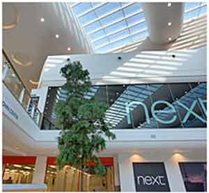 Next opens new home and fashion store in Essex