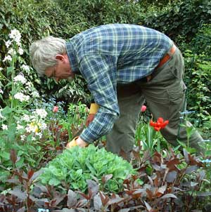 Over 45s prefer a spot of gardening to a pint