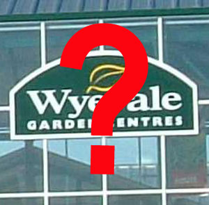 Wyevale changes its name