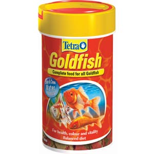 Tetra turns to gold-fish