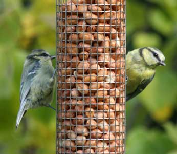 Garden centres grow share in bird care market despite recession