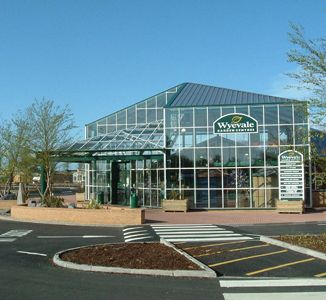 Garden Centre Group reports strong Christmas trading