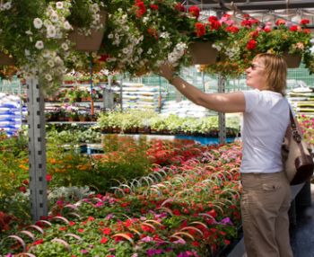 Consumers opt for locally sourced garden products