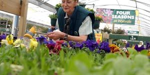 Garden Centre Group tests Easter Sunday opening