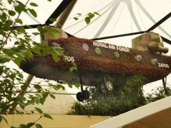 Chelsea Flower Show gallery goes live