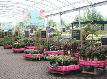 Garden Centre Group sees strong trading with 725% profit jump