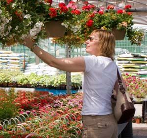 Garden centre visitor numbers up 10% since 2006