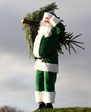 Dobbies helps customers grow their own Christmas trees