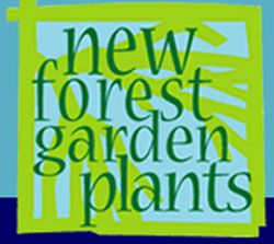 Buyer found for New Forest Garden Plants