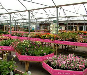 Garden Centre Group poised for growth as sales soar