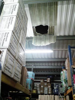 DIY store raided by gravity-defying thieves