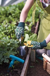 Garden Centre Group welcomes apprentices