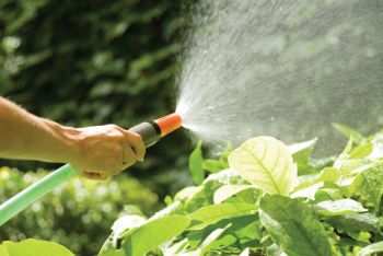 Garden industry valued at £893m last year