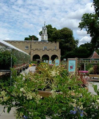 Garden Centre Group bought by Terra Firma for £276m