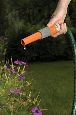 Garden Centre sales weather the drought warnings