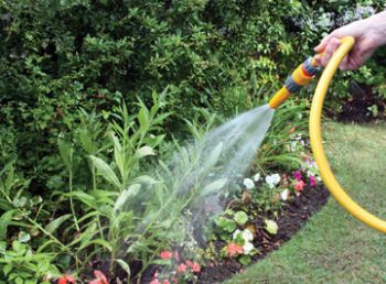 Hosepipe ban suspended for SE gardening businesses