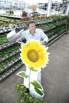 B&Q gives away 150,000 sunflowers to get kids growing