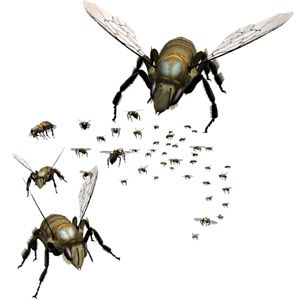 Bee swarm targets Bolton garden centre