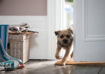New Wickes TV ad campaign rivals top dog Dulux 