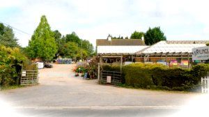 Bungling garden centre thieves make off with £1
