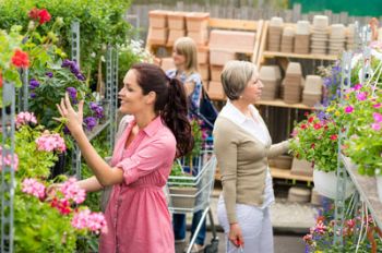Garden retail up 3% year-on-year for September