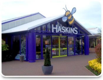 Redevelopment work takes toll on Haskins sales