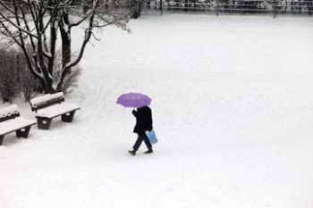 Snowfall crippled January footfall, reveals BRC