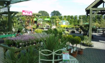 Third garden centre for Millbrook