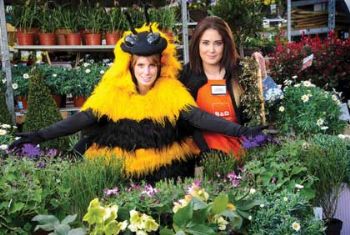 B&Q steps up support for Bee Cause campaign
