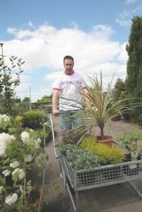 Garden centres' 2013 sales slump - then soar