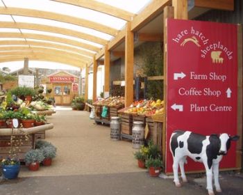 Garden centre caught up in ongoing planning row