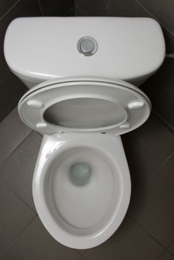 Lifting the lid on loo seat sales