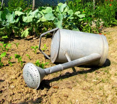 DIY and gardening sales drop back in May