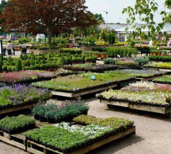 Revenue and margins rise at The Garden Centre Group