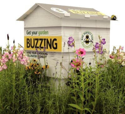 Floramedia links with RHS to back Plants for Pollinators