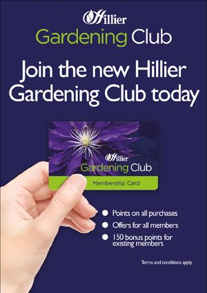Hillier launches new gardening club 
