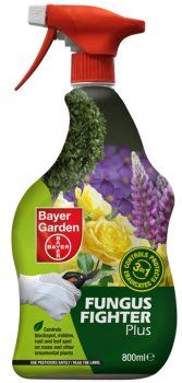 Bayer Garden launches attack on box blight