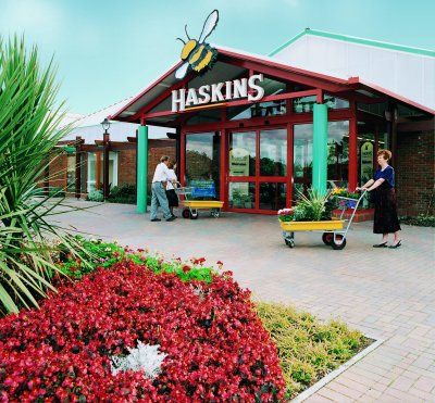 Haskins steps up its expansion plans