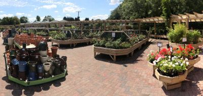 Former Golden Acres md plans 10 new-build garden centres