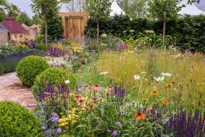 Squire's scoops Silver Gilt at Hampton Court show