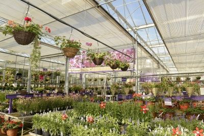 Ruxley Rose garden centre finalists revealed