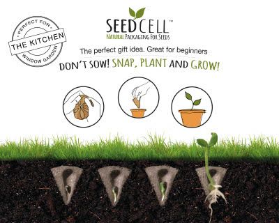 Green Digit SeedCell wins £5,000 GIMA prize
