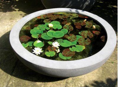 Lily Bowl wins garden designers award